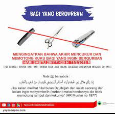 Bismillah tanya… kan klw qurban g boleh potong rambut kuku bulu2 dibadan(kumis, bulu ketiak) nah kmrn iyas dipotong kukunya sama abinya cz katanya g tau. Larangan Menggunting Kuku Dan Memotong Rambut Bagi Yang Berkurban Happy4kids