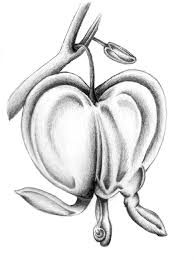 Girls usually draw rounded shapes, including flowers, hearts, while angles, boxes, and straighter lines are characteristics of boys, along with cars, buses, etc. Bleeding Heart Flowers Love