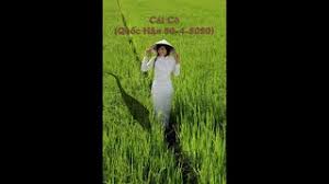 Viết Cho Ngày 30-4 - "Cái Cò" - Phạm Văn Hòa