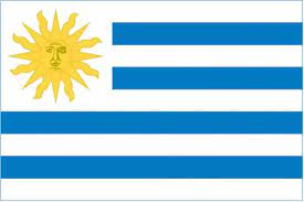 The national flag of uruguay (spanish: Buy Uruguay Flag Flags Flagpoles And Banners
