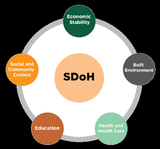 Social Determinants Of Health Quality Enhancement Plan