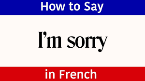 Mar 29, 2019 · breaking it down further, c'est means it is, ma means my, and faute means fault. since faute is a feminine. How To Say I M Sorry In French French Words Phrases Sorry In F Learn French Beginner Say Im Sorry French Words