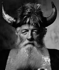 Introducing Wotan Roshi and Viking Zen