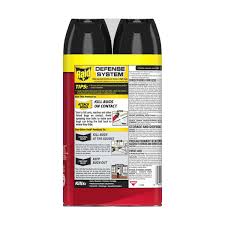 Raid Max Ant, Roach, Earwig And Crawling Insect Killer - 1 Ea | Dominion  Stores Of Newfoundland