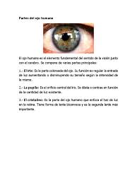 Es una membrana que facilita el deslizamiento del globo ocular con las estructuras vecinas. Partes Del Ojo Humano Ojo Humano Percepcion Visual