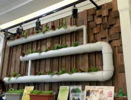 Important factors to consider include: 22 Awesome Indoor Hydroponic Wall Garden Design Ideas Hydroponics Diy Aquaponics Diy Hydroponics
