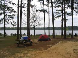 Maybe you would like to learn more about one of these? Campgrounds In Florida Thousands Of Great Places