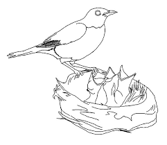 Hungry Baby Bird In Bird Nest Coloring Pages Best Place To Color Baby Coloring Pages Bird Coloring Pages Bird Nests Art