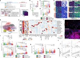 All data displayed is preliminary and subject to change as more information is reported to isdh. The Spatial Landscape Of Lung Pathology During Covid 19 Progression Nature