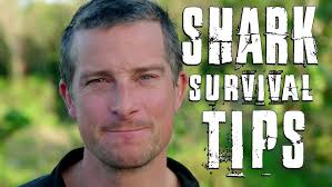 Bear Grylls' Top 3 Shark Survival Tips