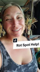#stitch with @Rosanne Becker I appreciate you #loofnround with us! Can tell  you've been taking some great #loofah growing notes!!! When you see a rot  spot & your #loofa is barely (turning) yellow, ...