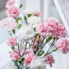 Maybe you would like to learn more about one of these? Birth Month Flowers And The Meaning Behind Them