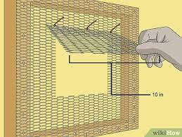 Parakeets are social birds and would appreciate being part of the family. How To Make A Bird Cage 12 Steps With Pictures Wikihow