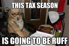 Funny Memes That Will Get You Through Tax Season Viraluck Dogs Humor Funny Dog Memes Dog Memes Super Funny Memes