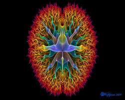 Your Brain In Fractals Funny Fractals Fractals In Art Fractal Art