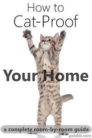 How To Cat Proof Your Home Cat Training Cat Proofing How To Cat
