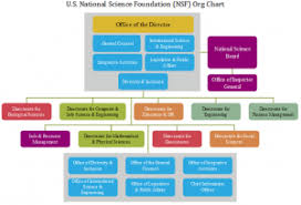 Nsf Org Chart