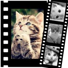 Minimal photo slideshow template is your best choice! Photo Montage Movies Video 4 Pictures Pixiz