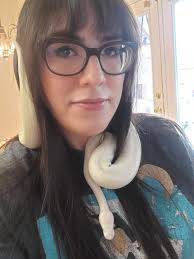 Lost ball python in San Bernardino area