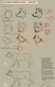 Welcome to the realistic animals group. How To Draw Animals Inspiration And Step By Step Tutorials Architecture Design Competitions Aggregator