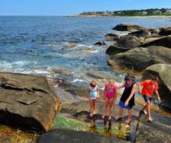 See full list on alltrails.com 10 State Parks And Forests In Massachusetts That Are Fun To Visit With Kids Mommypoppins Things To Do In Boston With Kids