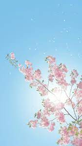 13 Gorgeous Spring Blossom Iphone Wallpapers Preppy Wallpapers Cherry Blossom Wallpaper Iphone Wallpaper Preppy Preppy Wallpaper