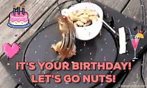 Important notice sorry about the caps it's 100% free, and you also can use your own customized birthday calendar and birthday reminders. Slack Birthday Gifs Get The Best Gif On Giphy