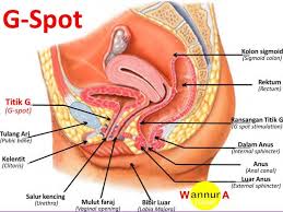 Check spelling or type a new query. Pokemon Images Raha Kusugua G Spot G Spot Manchester Raha Kusugua G Spot Have You Ever Bit The Insi