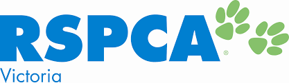 Foster Care Network Coordinator At Rspca Victoria Jobs Flea Shampoo For Cats Daycare Costs Cat With Blue Eyes
