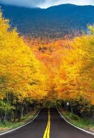 Full event details call to book now. Vermont State Parks On Twitter Autumn Tree Tunnel Smugglers Notch State Park Photo Taken 10 16 16 By Jatin Thakkar Photography Vt Vermont Worldsbestfoliage Https T Co Ovohuejxjq