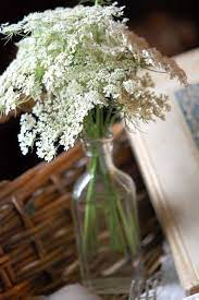 It's a beautiful white, lacy flower, just as. Pretty Decor Ideas With Queen Anne S Lace Wedding Flowers By Bride Blossom Nyc S Only Luxury Wedding Florist Wedding Ideas Tips And Trends For The Modern Sophisticated Bride