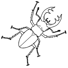 Stag beetle adult coloring page vector. Color Me Stag Beetle By Misterbug Deviantart Com On Deviantart Beetle Drawing Beetle Art Insect Coloring Pages