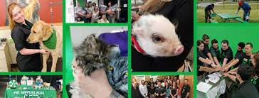 Maybe you would like to learn more about one of these? Pet Supplies Plus Careers Home Facebook