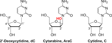 Image result for Cytarabine