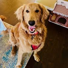 😁 Happy #TeeferTuesday! Look at Walter's precious smile with those bottom  #teef