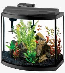 Click 'show more' for full video description and links in today's video, i show you exactly how to build levitating black lava rocks for your aquarium. Bow Front Fish Tank Transparent Png 1920x1920 Free Download On Nicepng