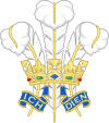 It has not been frequently used in wales as a national symbol of the past, however it is still used some in modern times, but without the crested crown National Symbols Of Wales Wikipedia