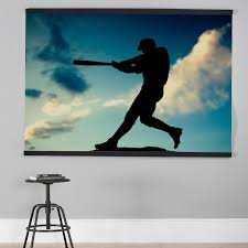 Awesome canvas baseball wall art m68 about. Varsity Baseball Wall Mural Wall Decor Pottery Barn Teen