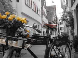 Cycling Identity