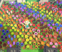 The museum is one of the most important buildings in animal crossing: How To Breed All Hybrid Flowers In Animal Crossing New Horizons 8 Steps With Pictures Instructables