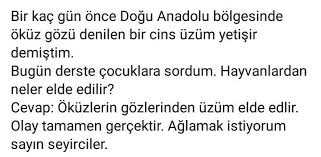 Bir Nur Kose Adli Kullanicinin Komik Panosundaki Pin Gercekler Okuma Komik
