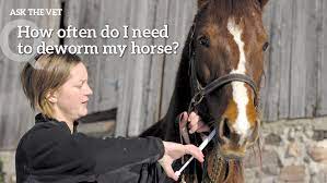 Preparing to deworm your horse. How Often Do I Need To Deworm My Horse To Prevent Resistance