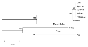E eftekhari, x li, th kim, z gan, is cole, d zhao, d kielpinski, m gu, q li. Frontiers Opportunities And Challenges For Improving The Productivity Of Swamp Buffaloes In Southeastern Asia Genetics