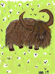 cute domestic yak drawing by kathy barney cute domestic yak by kathy barney