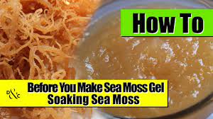 Rybárske potreby, športové potreby pre rybárov, veľkosklad moss.sk spol. 3 Simple Steps For Making The Best Sea Moss Smoothie Detox Cure