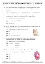 Punnett squares answer key directions: Goodscienceworksheets S Shop Teaching Resources Tes