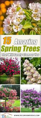 Check spelling or type a new query. 15 Amazing Flowering Spring Trees For Your Landscape Decor Home Ideas