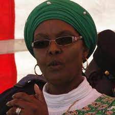 It is understood that some of she paid for the mansion with her own personal funds. Grace Mugabe Net Worth