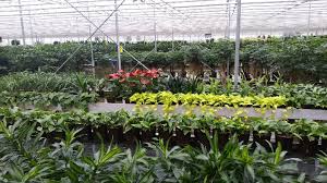 Is it not creepy for email providers to ask for your phone number? Suppliers Moss Living Plant Walls Nextgen Living Walls