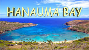 When driving out from waikiki take h1 freeway until it becomes kalanianaole highway then continue for approximately 10 miles. Hanauma Bay Oahu Hawaii 4k Youtube